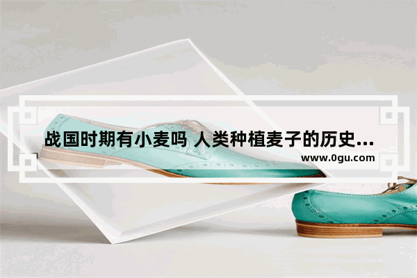 战国时期有小麦吗 人类种植麦子的历史故事
