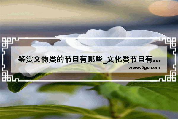 鉴赏文物类的节目有哪些_文化类节目有哪些