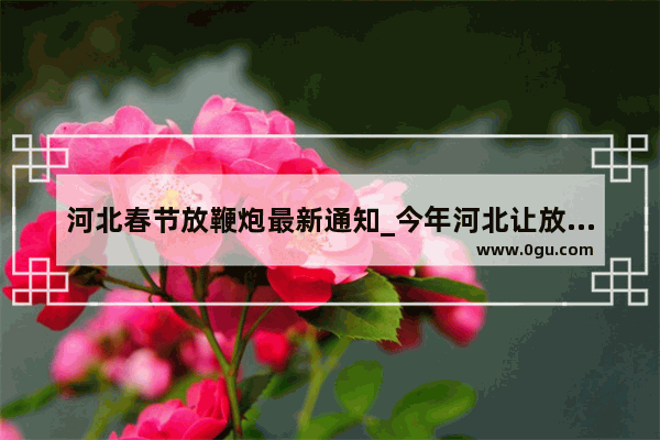 河北春节放鞭炮最新通知_今年河北让放烟花吗