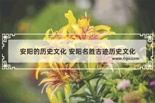 安阳的历史文化 安阳名胜古迹历史文化