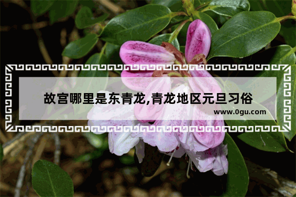 故宫哪里是东青龙,青龙地区元旦习俗