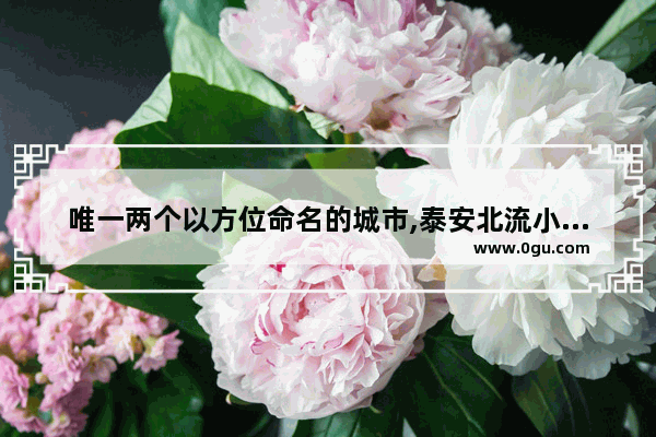 唯一两个以方位命名的城市,泰安北流小区的历史故事