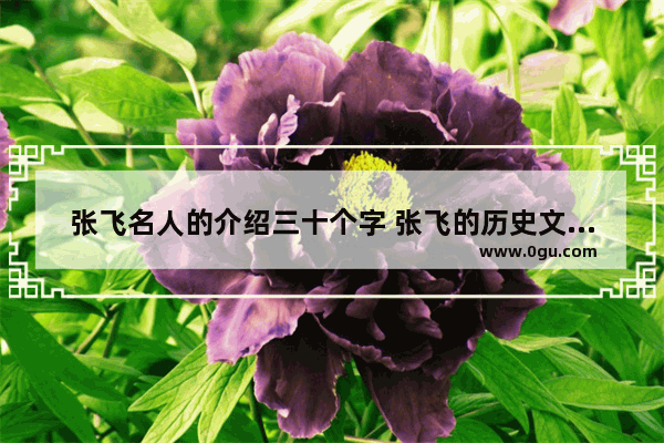 张飞名人的介绍三十个字 张飞的历史文化简介