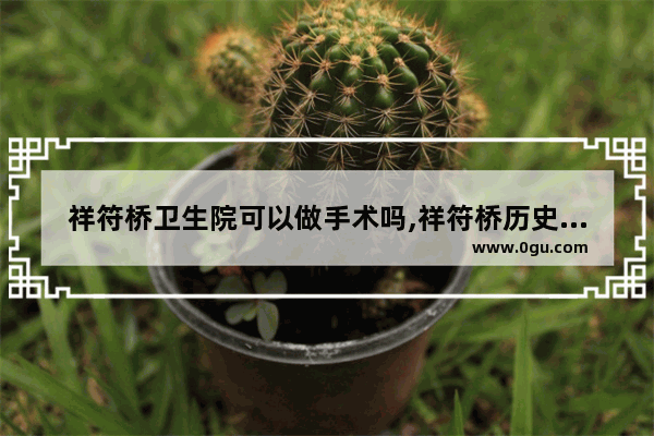 祥符桥卫生院可以做手术吗,祥符桥历史文化小学