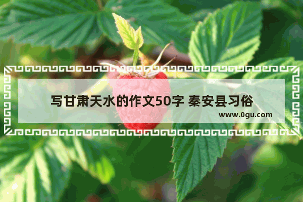 写甘肃天水的作文50字 秦安县习俗