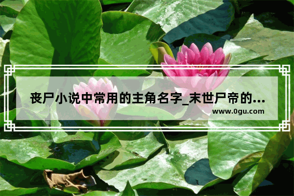 丧尸小说中常用的主角名字_末世尸帝的女主介绍