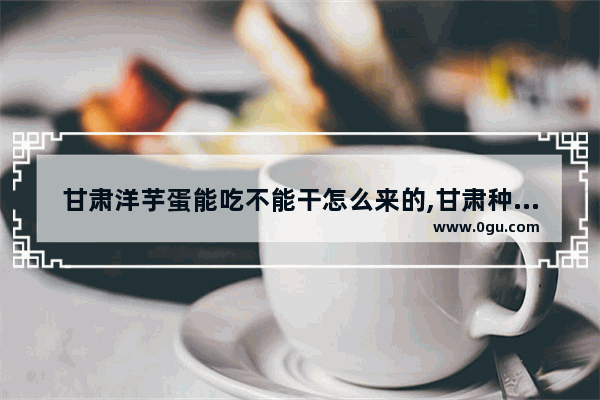 甘肃洋芋蛋能吃不能干怎么来的,甘肃种植洋芋的历史故事