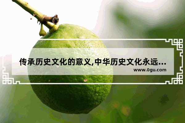 传承历史文化的意义,中华历史文化永远传承不衰