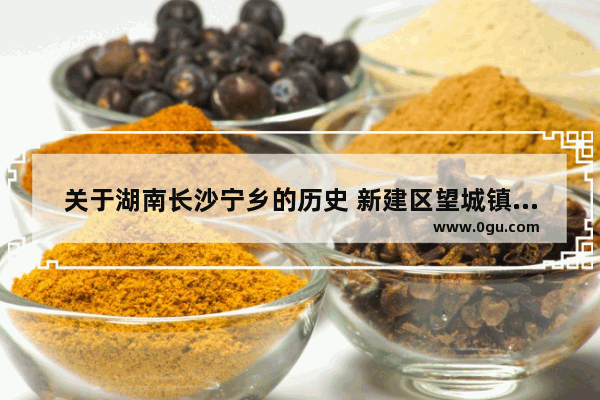 关于湖南长沙宁乡的历史 新建区望城镇历史人物