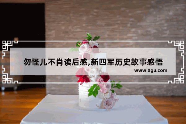 勿怪儿不肖读后感,新四军历史故事感悟