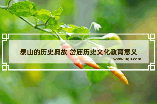泰山的历史典故 岱庙历史文化教育意义