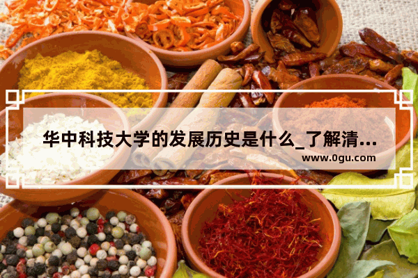 华中科技大学的发展历史是什么_了解清楚大秦历史看什么书