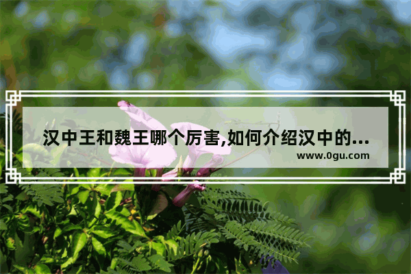 汉中王和魏王哪个厉害,如何介绍汉中的历史人物