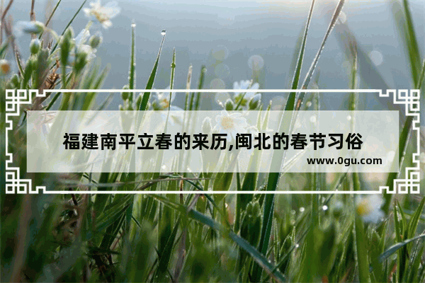 福建南平立春的来历,闽北的春节习俗