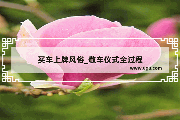 买车上牌风俗_敬车仪式全过程