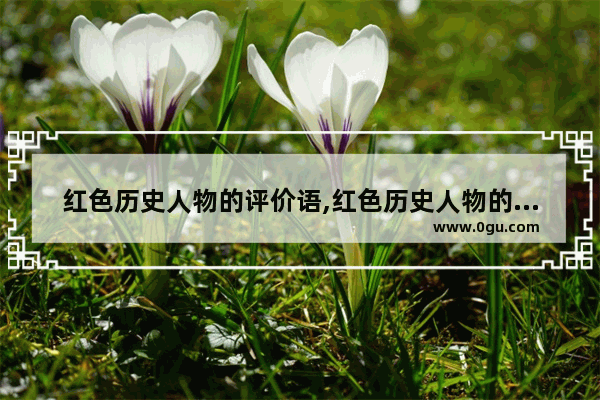 红色历史人物的评价语,红色历史人物的评价语