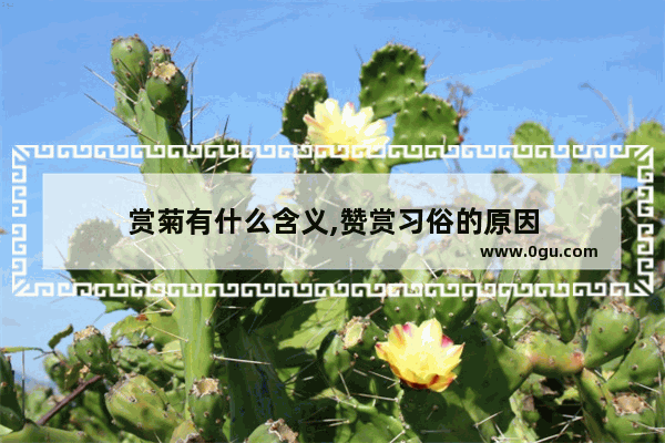 赏菊有什么含义,赞赏习俗的原因