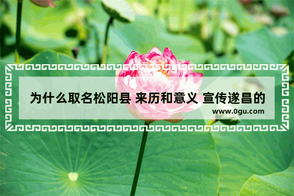 为什么取名松阳县 来历和意义 宣传遂昌的历史文化意义
