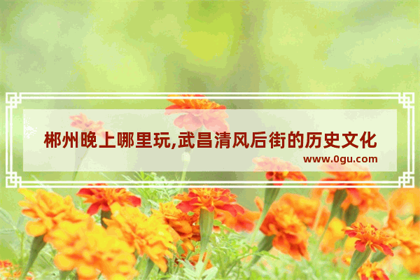 郴州晚上哪里玩,武昌清风后街的历史文化