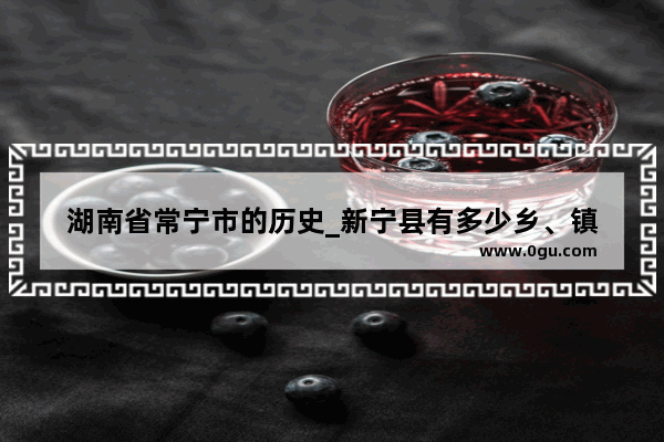 湖南省常宁市的历史_新宁县有多少乡、镇