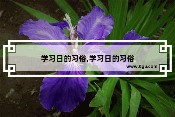 学习日的习俗,学习日的习俗