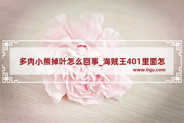 多肉小熊掉叶怎么回事_海贼王401里面怎么那么多个熊啊