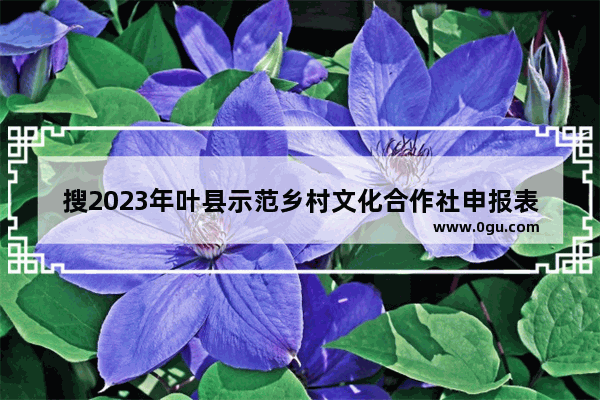 搜2023年叶县示范乡村文化合作社申报表怎样填写,叶县历史文化名镇名村