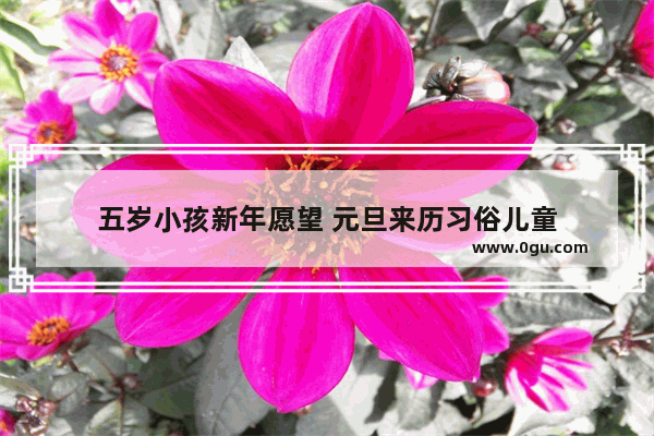 五岁小孩新年愿望 元旦来历习俗儿童