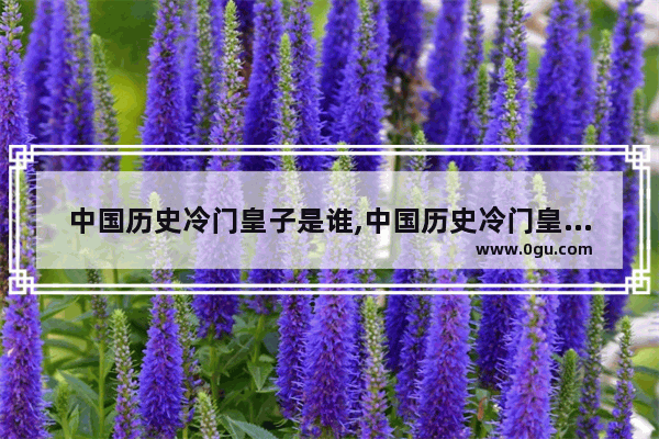 中国历史冷门皇子是谁,中国历史冷门皇子是谁