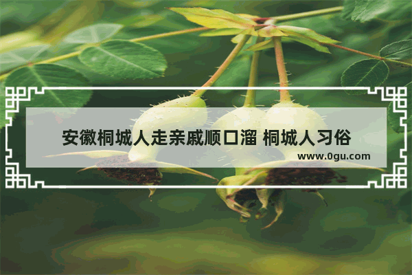 安徽桐城人走亲戚顺口溜 桐城人习俗