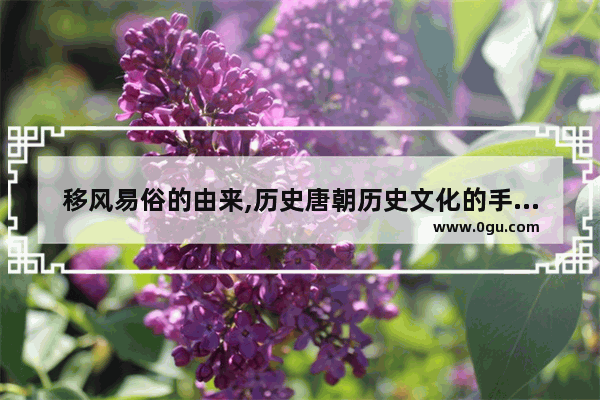 移风易俗的由来,历史唐朝历史文化的手抄报