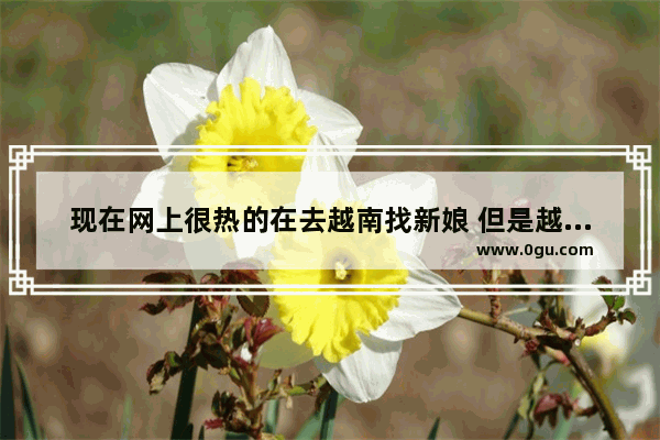 现在网上很热的在去越南找新娘 但是越南新娘会说中文吗 我很担心语言不通,越南媳妇讲中国历史吗