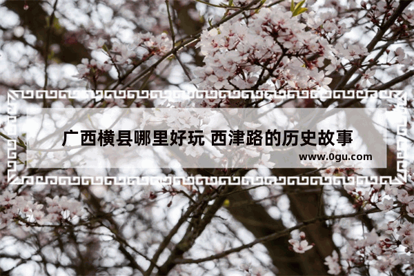 广西横县哪里好玩 西津路的历史故事