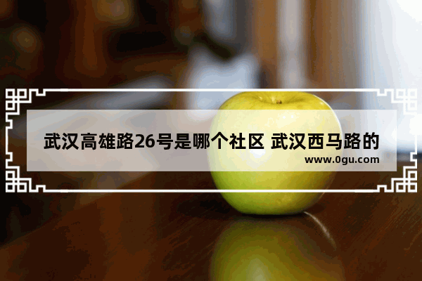 武汉高雄路26号是哪个社区 武汉西马路的历史故事