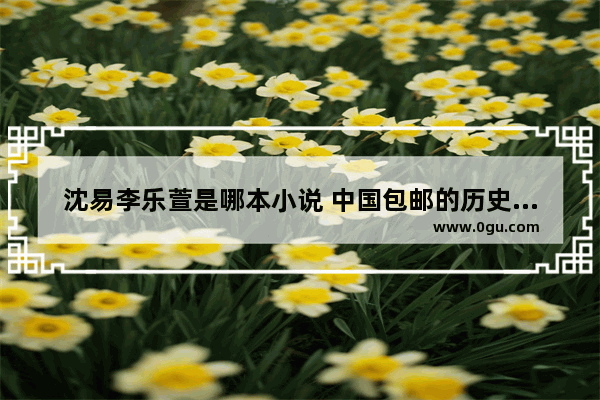 沈易李乐萱是哪本小说 中国包邮的历史故事