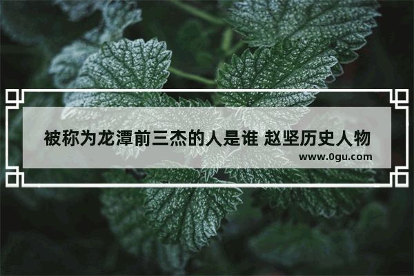 被称为龙潭前三杰的人是谁 赵坚历史人物