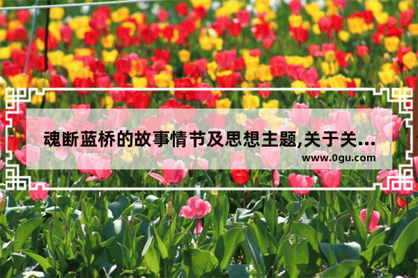 魂断蓝桥的故事情节及思想主题,关于关爱和平的历史故事