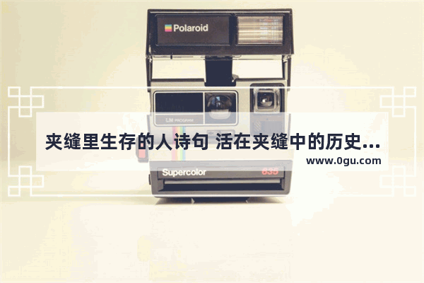 夹缝里生存的人诗句 活在夹缝中的历史人物