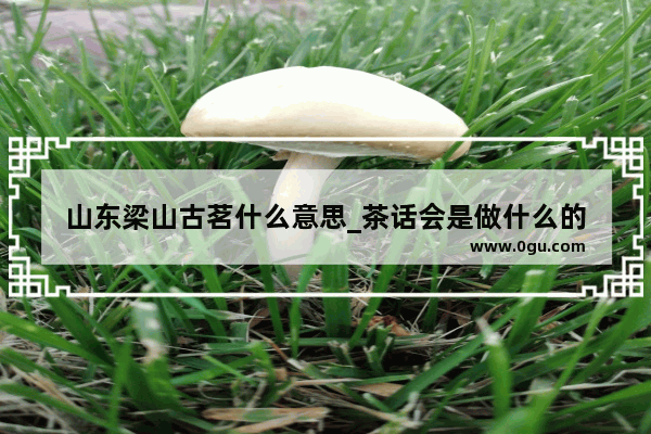山东梁山古茗什么意思_茶话会是做什么的