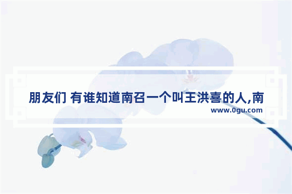 朋友们 有谁知道南召一个叫王洪喜的人,南召历史文化的贡献有