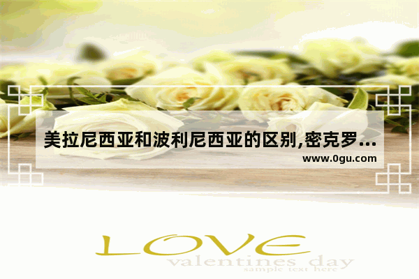 美拉尼西亚和波利尼西亚的区别,密克罗尼西亚的习俗