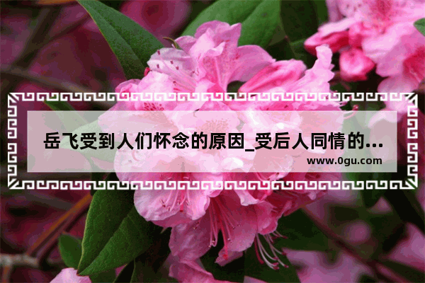 岳飞受到人们怀念的原因_受后人同情的历史人物
