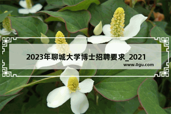 2023年聊城大学博士招聘要求_2021聊城大学招专科吗