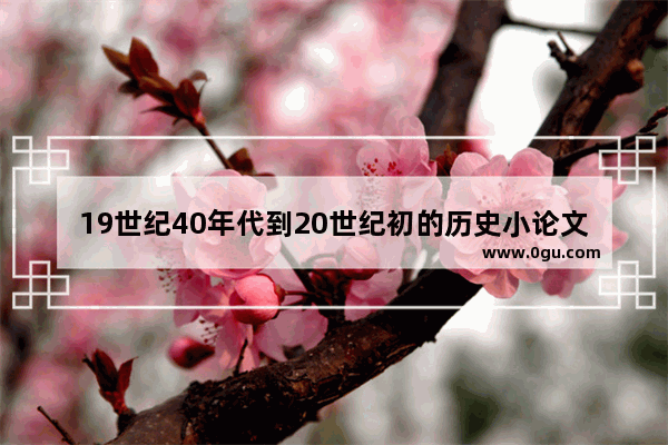19世纪40年代到20世纪初的历史小论文,西方与中国历史分析论文