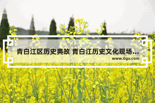 青白江区历史典故 青白江历史文化现场教学