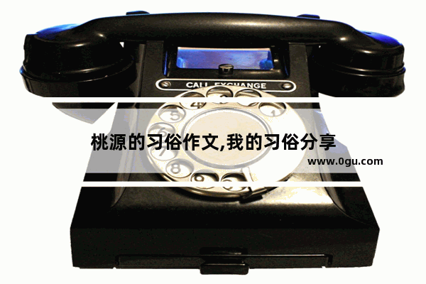 桃源的习俗作文,我的习俗分享