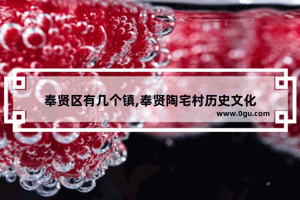 奉贤区有几个镇,奉贤陶宅村历史文化
