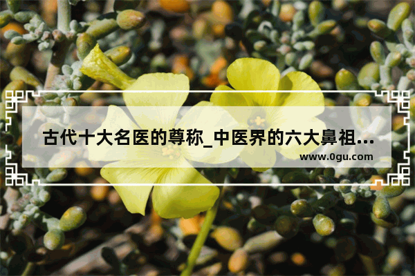 古代十大名医的尊称_中医界的六大鼻祖都是谁
