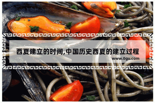 西夏建立的时间,中国历史西夏的建立过程