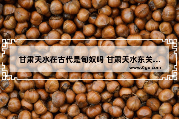 甘肃天水在古代是匈奴吗 甘肃天水东关的历史文化